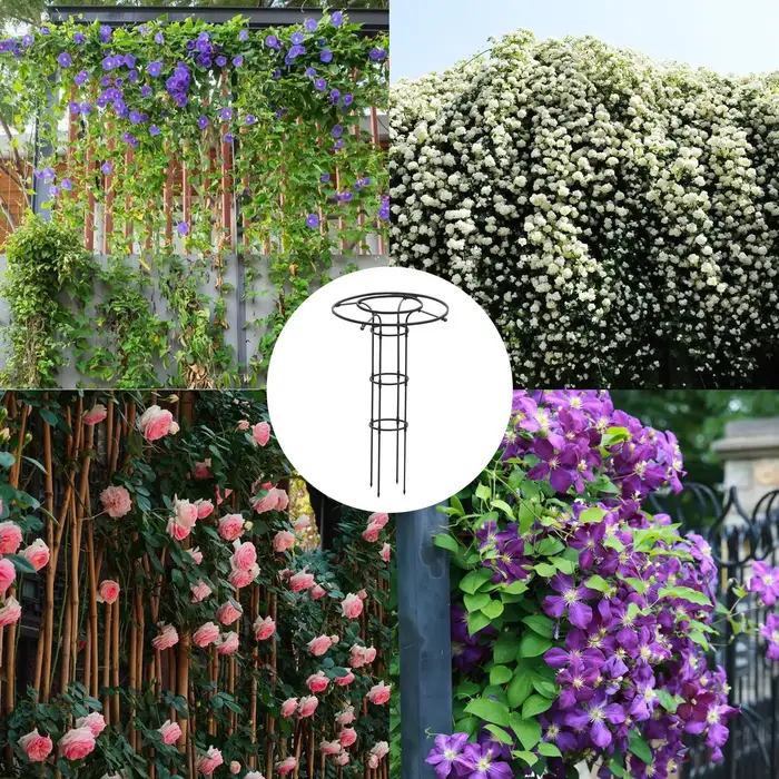 1 pièce Treillis de jardin en forme de parapluie pour plantes grimpantes