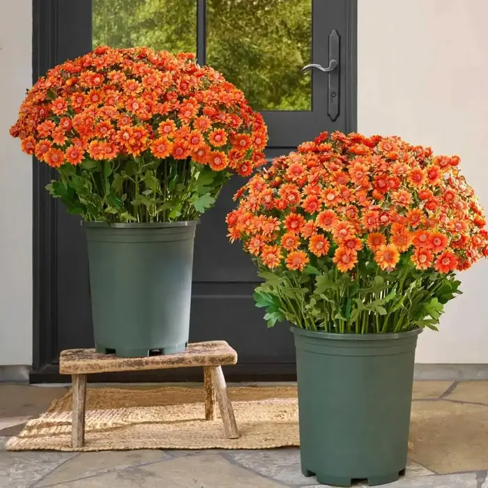 Fausses fleurs réalistes
