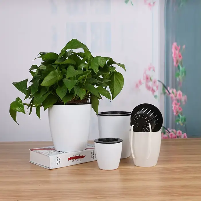 Pot de fleurs d'arrosage automatique