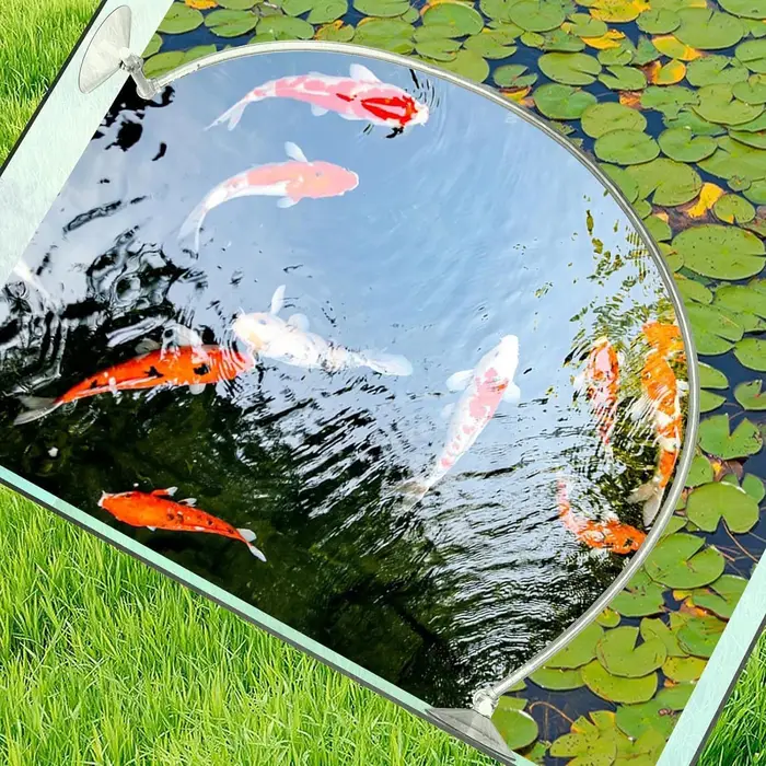 Clôture flottante pour plantes d'aquarium
