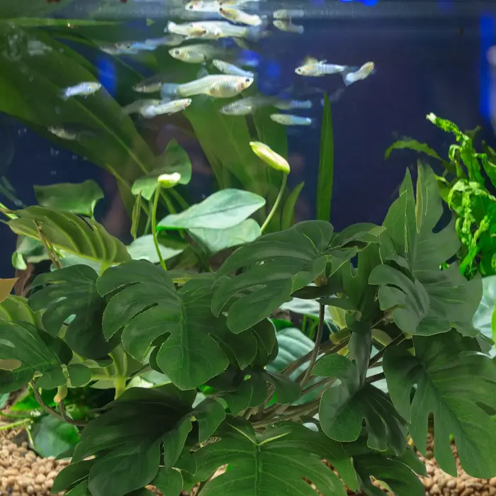 Plantes artificielles de haute qualité pour terrarium de reptiles, ornement pour boîte à lézards, aquarium, aménagement paysager, décoration de plantes artificielles