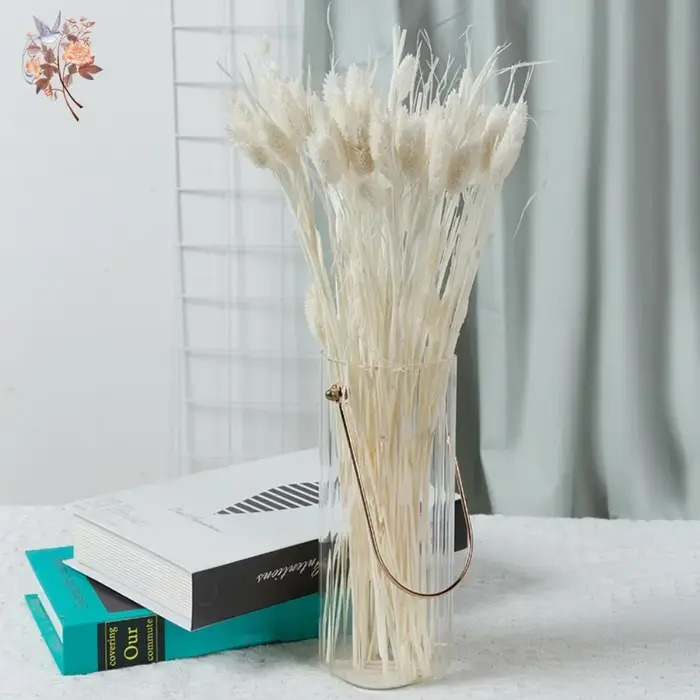 Bouquet de pierres précieuses de phaladditif séchées éternelles