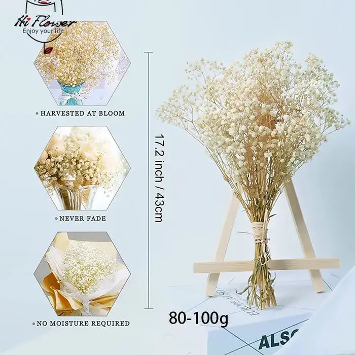 Fleurs séchées naturelles conservées Gypsophila Paniculata