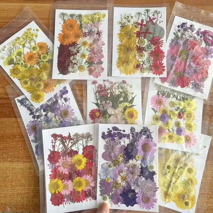 Kit de matériaux combinés de feuilles de fleurs séchées