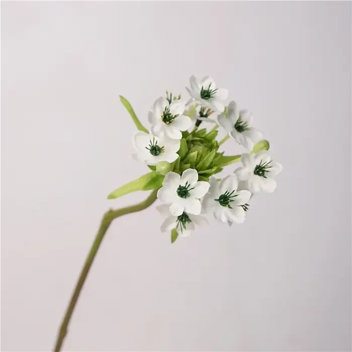 Fleur artificielle en soie orchidée, 10 pièces/lot, pour la décoration de la maison, accessoires, Bo