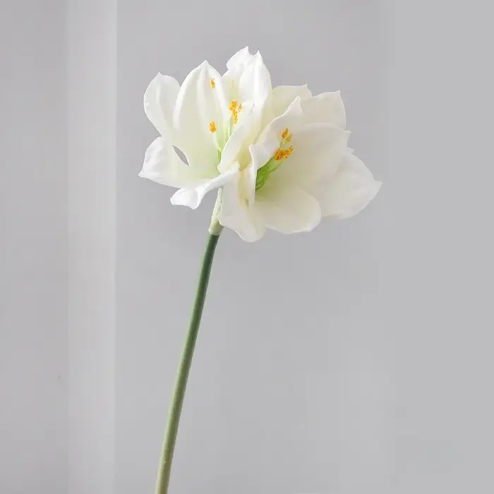 Clivia Amaryllis artificielle à tige unique de 22 pouces pour la décoration florale de la maison, de
