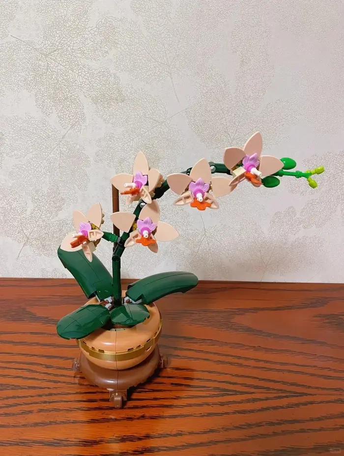 Collection de plantes 2025 : Ensemble de blocs de construction Orchidée élégante