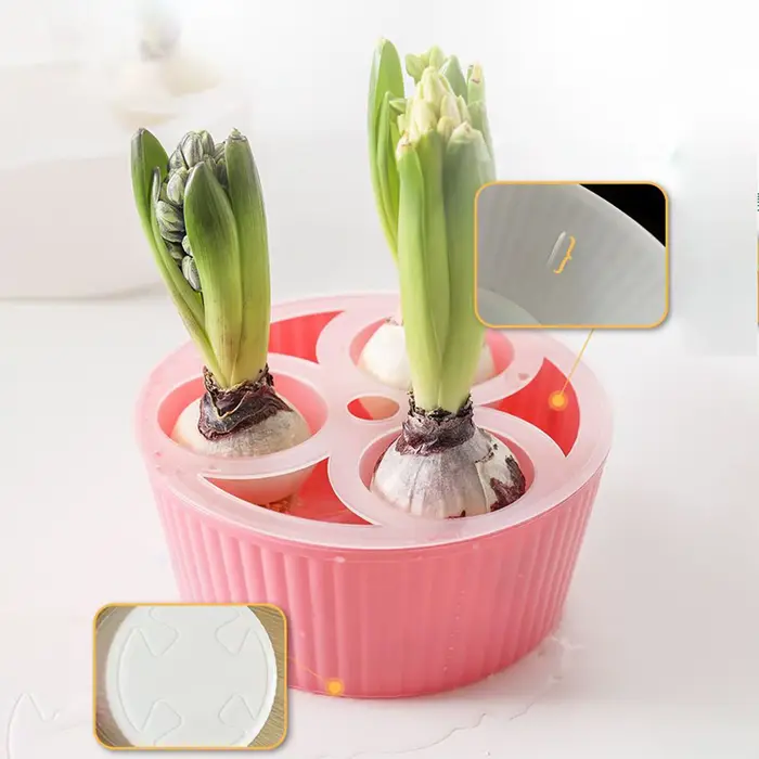 Jardinière hydroponique à 3 trous pour ampoules de fleurs