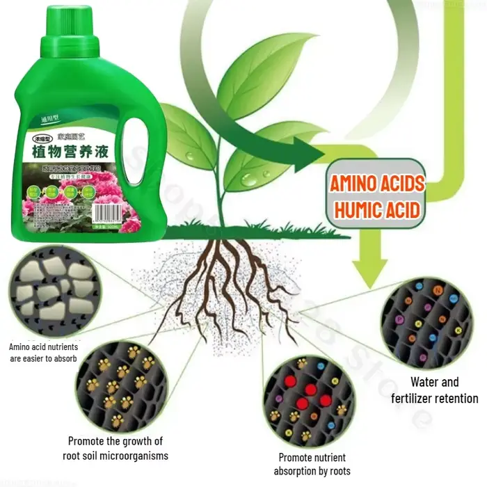 Solution hydroponique pour plantes nutritives