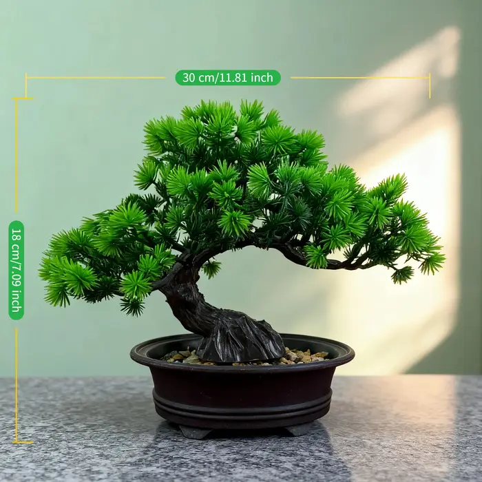 Arbre bonsaï Zen chinois