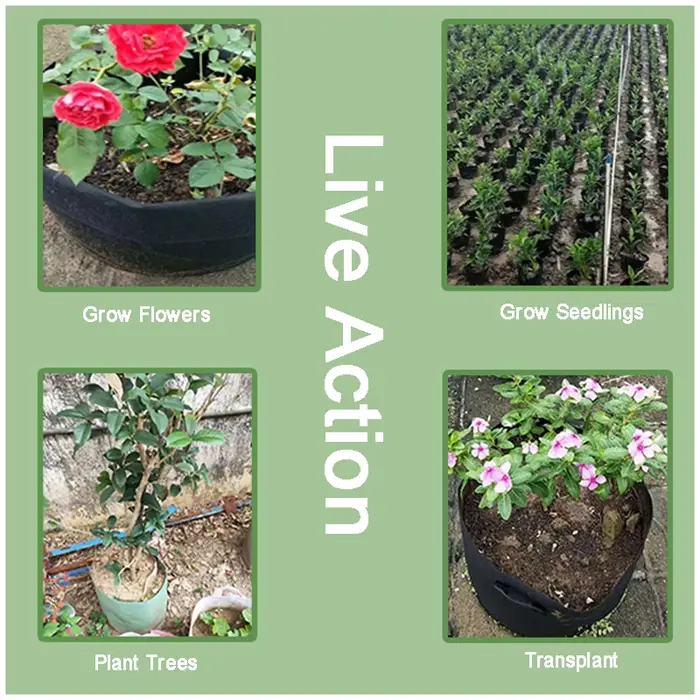Nouveau sac de plantation en tissu Non tissé pour cultiver des fleurs