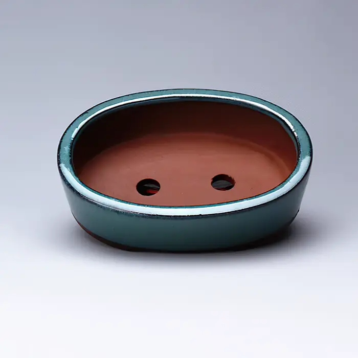 Pot de fleur succulente en céramique
