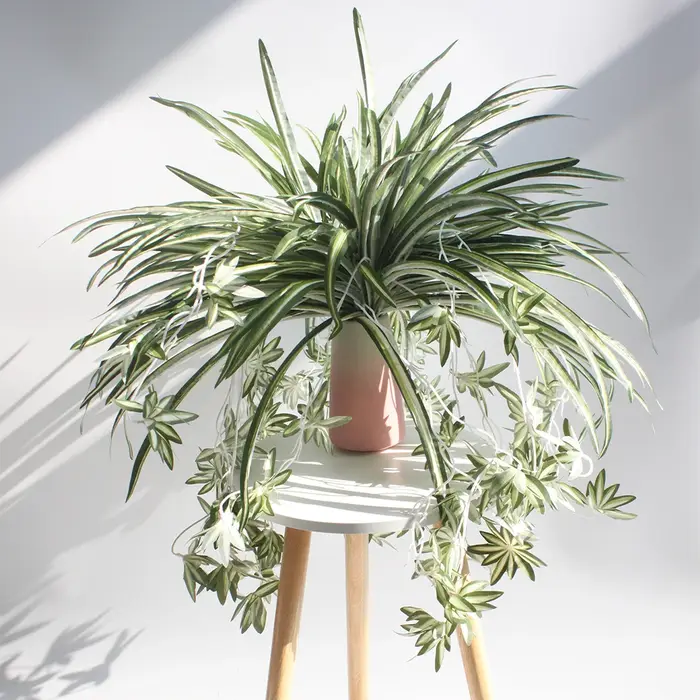 Plantes artificielles factice combo publicité plastique
