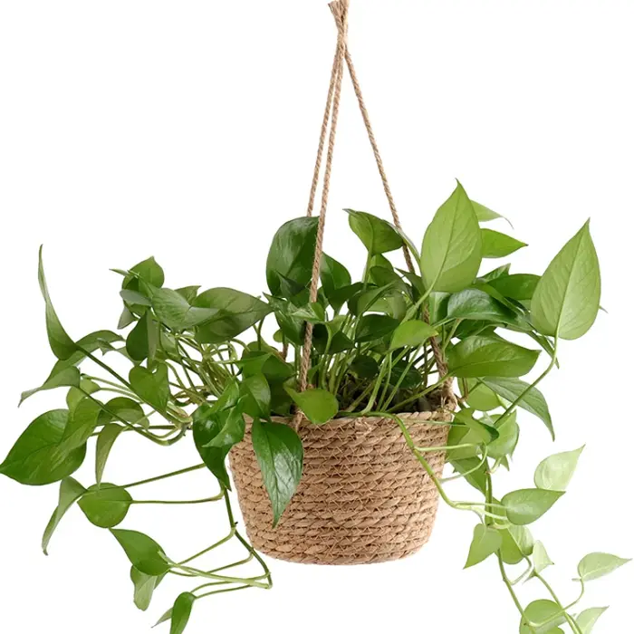 Pot suspendu de jardin en macramé