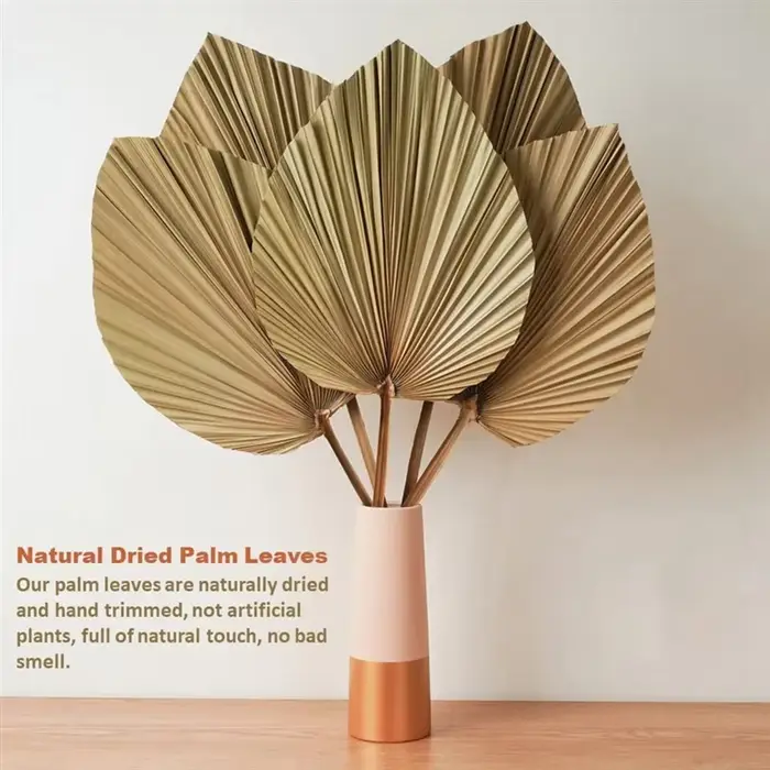 Feuilles de palmier naturelles séchées