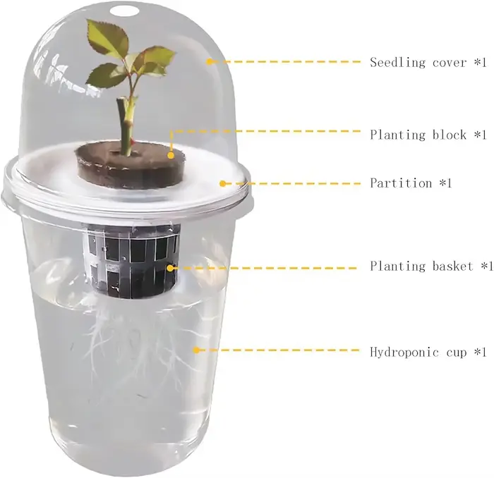 Pot hydroponique cylindrique Transparent en plastique