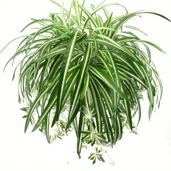 Plantes artificielles suspendues au mur