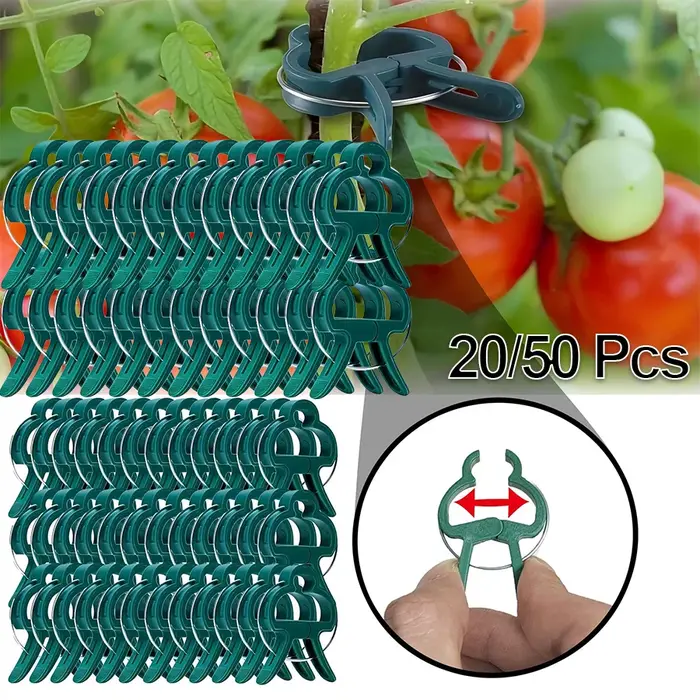 Clips pour plantes grimpantes