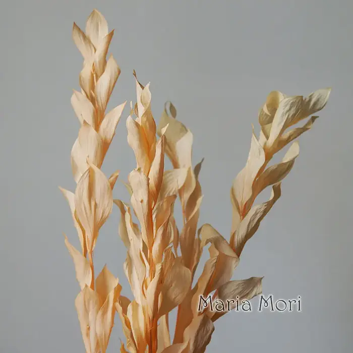 5 pièces/fleur conservée de blanchiment séché feuilles d'orange lys bambou pour arrangement floral f