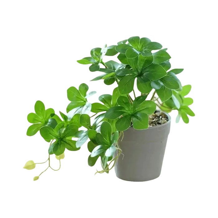 Bonsaï artificiel, plante artificielle avec pot