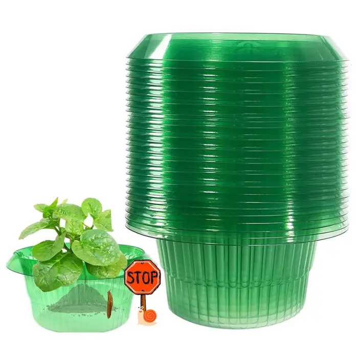 Anneaux de Protection des limaces pour plantes
