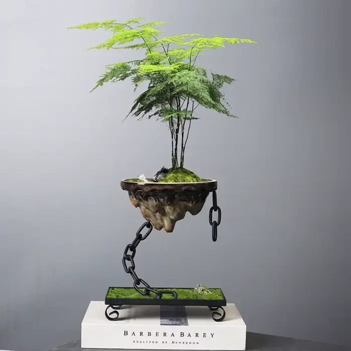 Pot de bonsaï moderne de paysage