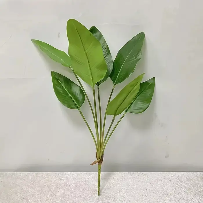 7 feuilles de plantein vert à main