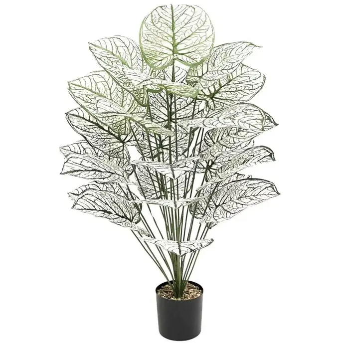 Plantes artificielles, feuille blanche et verte