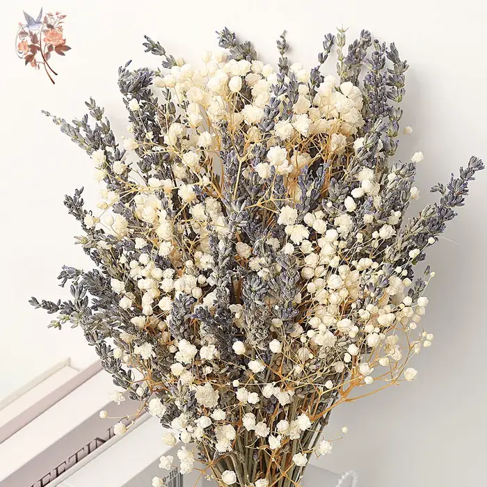 Bouquet de fleurs séchées de lavande