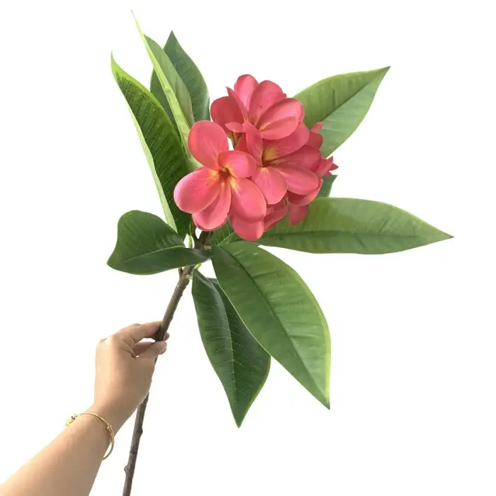 Impression 3D Main Sensation Frangipanier Fleurs Branche