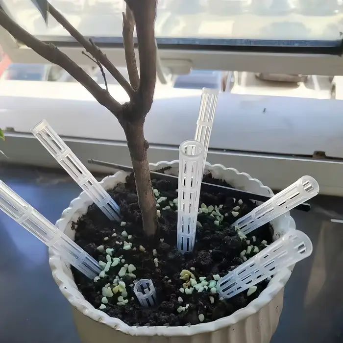Tuyaux de drainage transparents pour empêcher la rotation des racines et améliorer