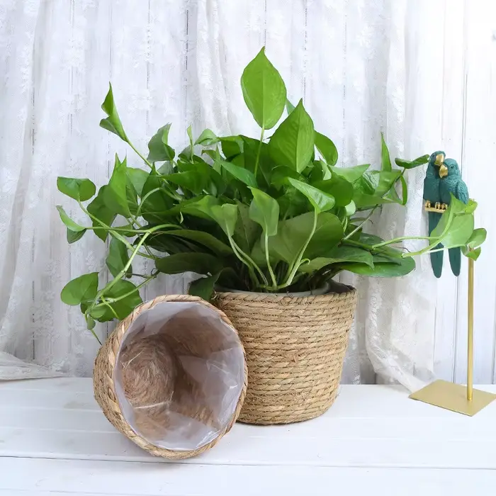 Pot de plantes à fleurs tissées en paille