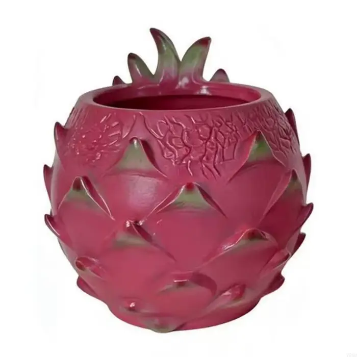 Pots plantes succulentes, jardinière plantes succulentes en forme Fruit Dragon, jardinière Pitaya fa
