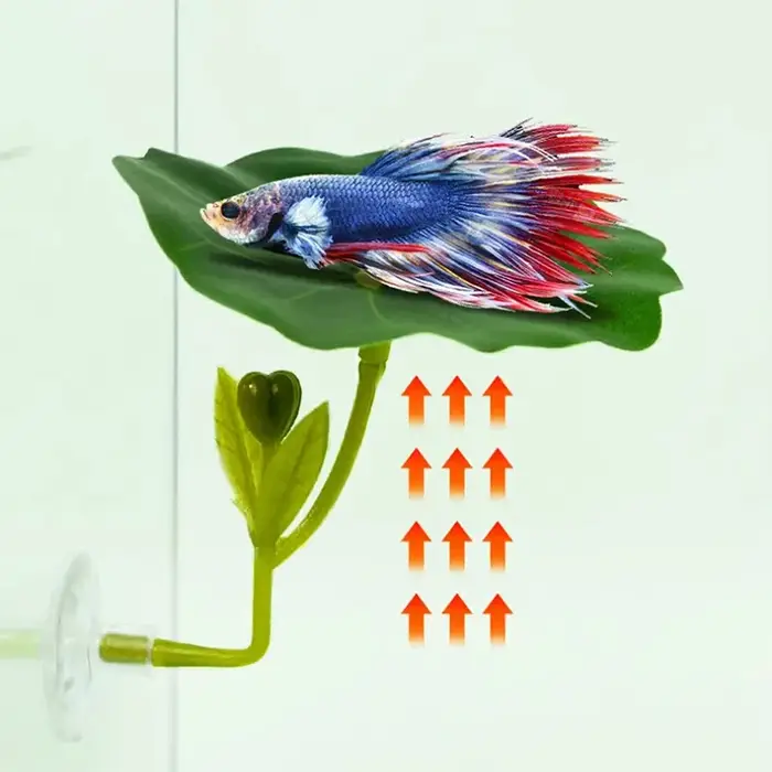 Plante d'aquarium en soie avec feuille en forme de hamac ​ Décoration fonctionnelle pour aquarium de betta