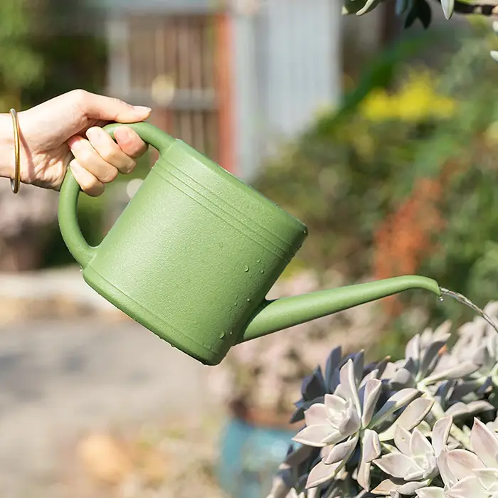 Arrosoir à bec Long 1L/2L, bouilloire d'arrosage pour jardin, balcon, Patio, plantes à fleurs, légumes, bonsaï, outil de jardinage domestique