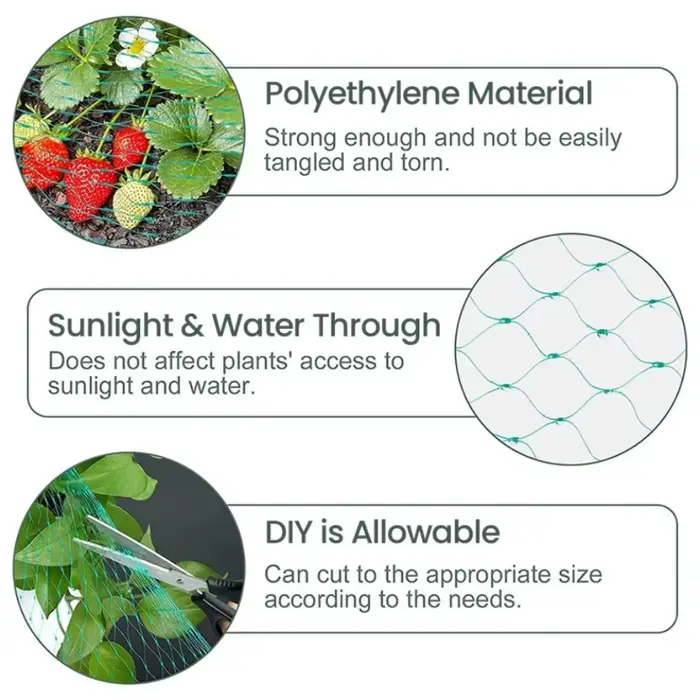 Filet de jardin protège les plantes avec des filets de protection