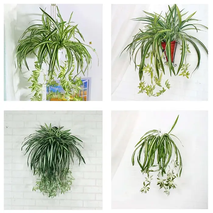 Plantes artificielles factice combo publicité plastique