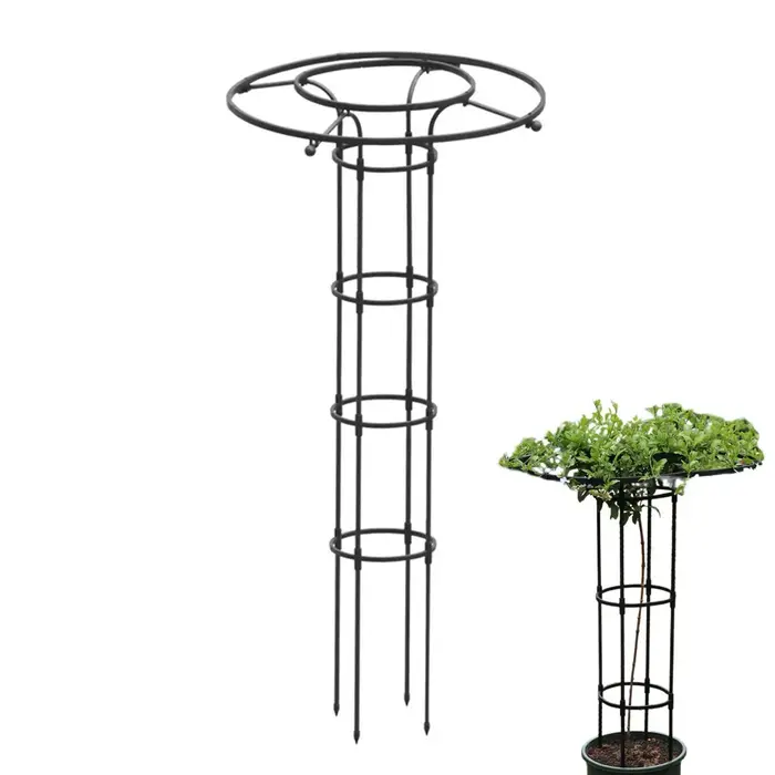 Treillis de jardin en forme de parapluie pour plantes grimpantes