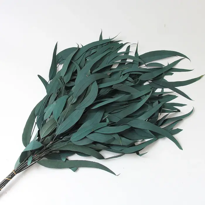 Bouquets de fleurs séchées d'eucalyptus, feuilles de fruits de Millet véritable naturel, 100g, décor