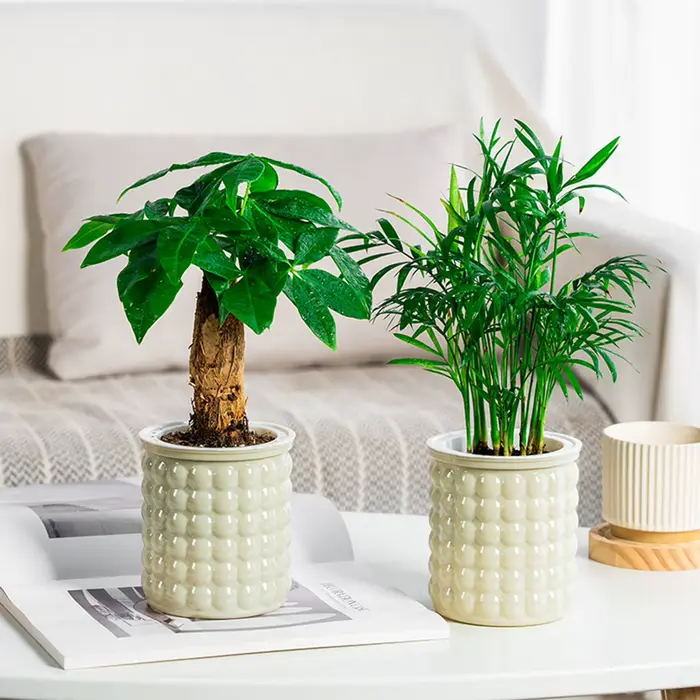 Mini pot de fleur à arrosage automatique, pots de plantes en plastique transparent, jardinière de po