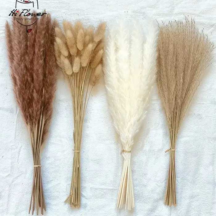 Bouquet de fleurs séchées de Pampas moelleuses
