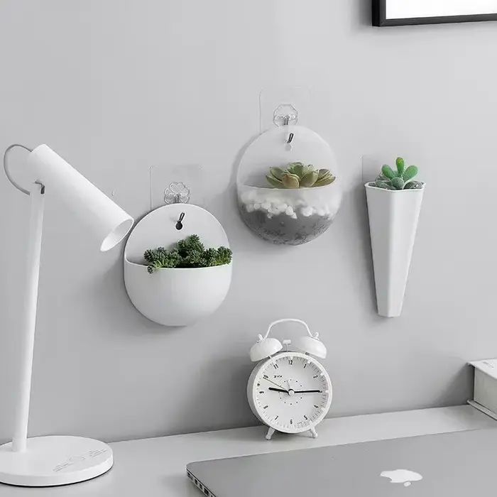 Plante de fleurs jardin intérieur maison