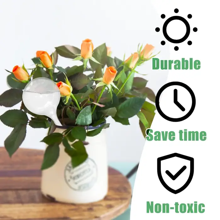 1 paquet de globe d'arrosage transparent pour plantes