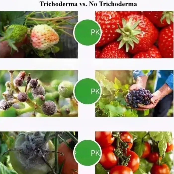 Ensemble de 30 sachets de 30g, bactéries microbiennes Trichoderma Harziana pour la maison, optimise la croissance des racines des légumes, engrais pour l'environnement des plantes.