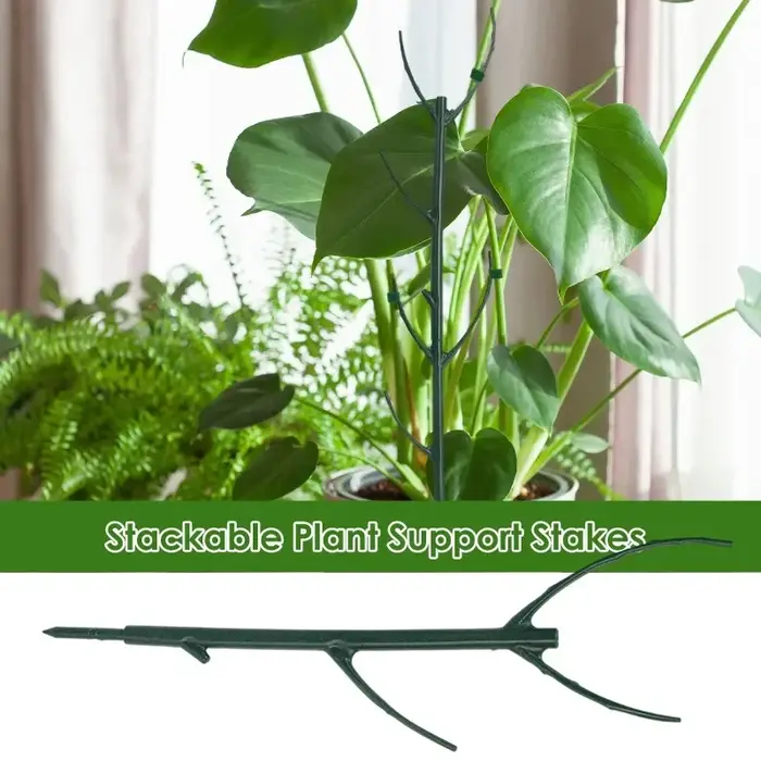 Piquet de Support pour plantes grimpantes