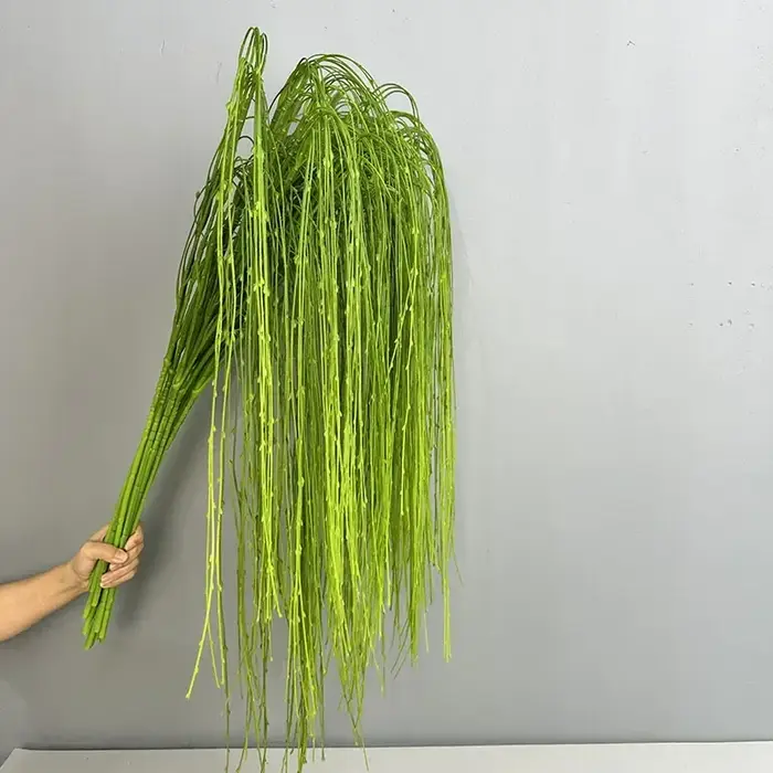 Simulation de plantes de saules pleureurs