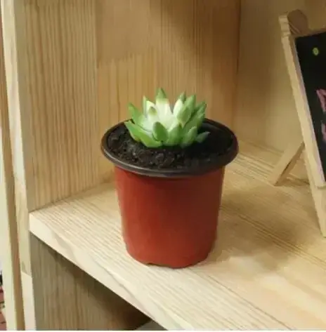 Pot de fleurs en plastique
