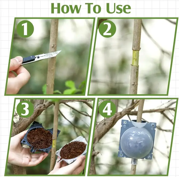 Boule de bouturage pour plantes