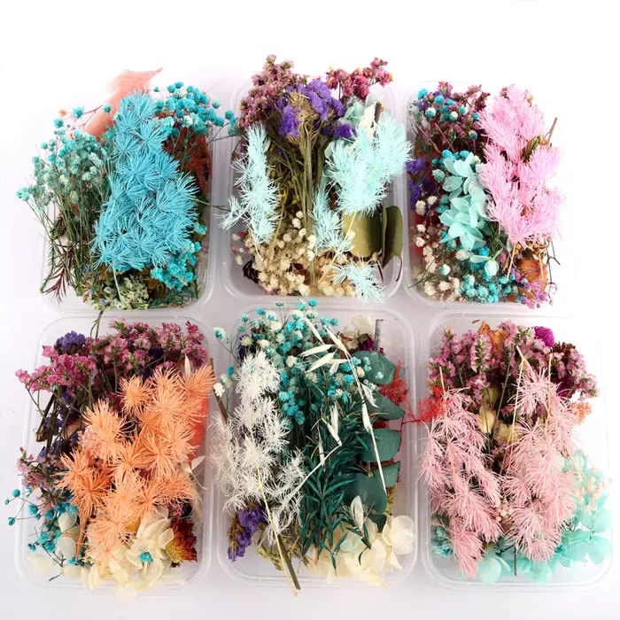 Véritables boîtes de fleurs séchées pour l'aromathérapie