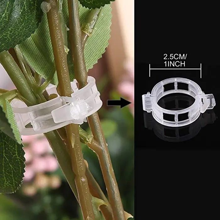 Clips de Support de plante en plastique réutilisables